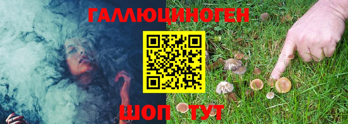 Галлюциногенные грибы MAGIC MUSHROOMS  Вход с VPN  Шатура 